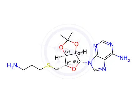 Chemical structure of 5'-S-(3-Aminopropyl)-2',3'-O-(1-methylethylidene)-5'-thioadenosine