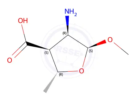 Chemical structure of (2R,3S,4R,5S)-4-Amino-5-methoxy-2-methyltetrahydrofuran-3-carboxylic acid