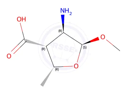 Chemical structure of (2R,3R,4R,5S)-4-Amino-5-methoxy-2-methyltetrahydrofuran-3-carboxylic acid