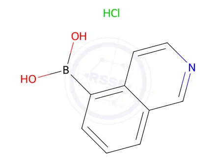 Chemical structure of Isoquinolin-5-ylboronic acid hydrochloride