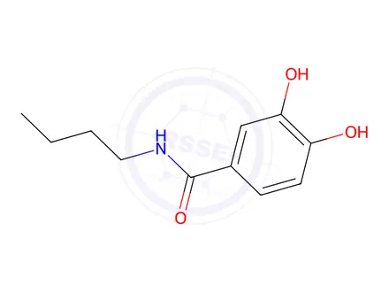 Chemical structure of N-Butyl-3,4-dihydroxybenzamide