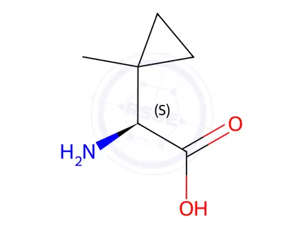 Chemical structure of (2S)-Amino-2-(1-methylcyclopropyl)acetic acid