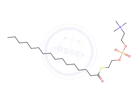 Chemical structure of (2-{[2-(Hexadecanoylsulfanyl)ethyl phosphonato]oxy}ethyl)trimethylazanium