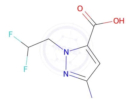 Chemical structure of 5-amino-2-(2,2-difluoroethyl)pyrazole-3-carboxylic acid