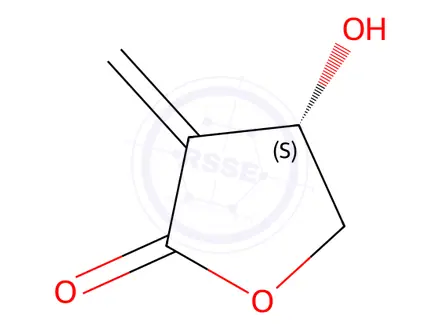 Chemical structure of Tulipalin B