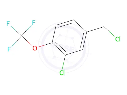 Chemical structure of 2-Chloro-4-(chloromethyl)-1-(trifluoromethoxy)benzene