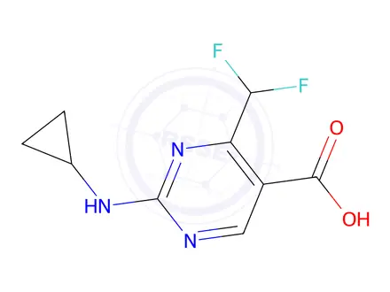 Chemical structure of 2-(Cyclopropylamino)-4-(difluoromethyl)pyrimidine-5-carboxylic acid