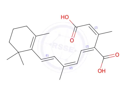 Chemical structure of (9-cis,13-cis)-12-Carboxy Retinoic Acid