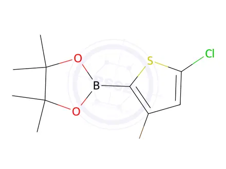 Chemical structure of 2-(3-Bromo-5-chlorothiophen-2-yl)-4,4,5,5-tetramethyl-1,3,2-dioxaborolane