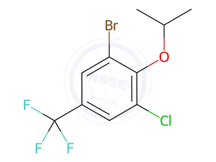 Chemical structure of Benzene, 1-bromo-3-chloro-2-(1-methylethoxy)-5-(trifluoromethyl)-