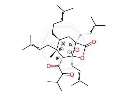 Chemical structure of 8-Oxabicyclo[5.2.1]decane-6,9,10-trione, 4-methyl-1,3,7-tris(3-methyl-2-buten-1-yl)-5-(2-methyl-1-oxopropyl)-4-(4-methyl-3-penten-1-yl)-, (1R,3S,4R,5R,7S)-