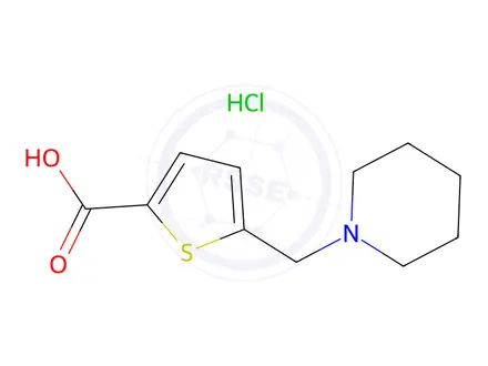 Chemical structure of 5-(Piperidin-1-ylmethyl)thiophene-2-carboxylic acid hydrochloride