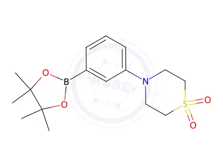 Chemical structure of 4-[3-(4,4,5,5-Tetramethyl-{1,3,2}dioxaborolan-2-yl)-phenyl]-thiomorpholine 1,1-dioxide