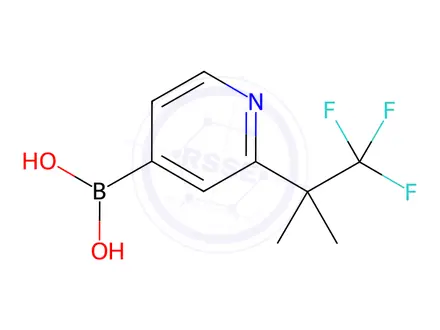 Chemical structure of B-[2-(2,2,2-Trifluoro-1,1-dimethylethyl)-4-pyridinyl]boronic acid
