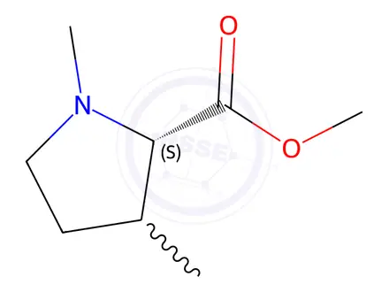 Chemical structure of Proline, 1,3-dimethyl-, methyl ester (8CI)