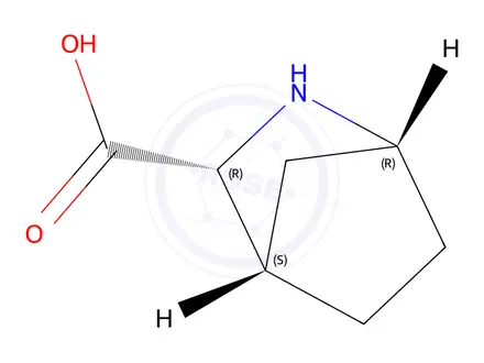 Chemical structure of (1R,3R,4S)-2-Azabicyclo[2.2.1]heptane-3-carboxylic acid