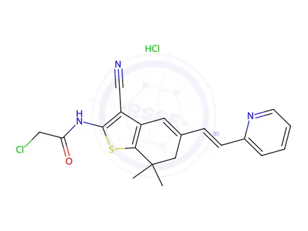 Chemical structure of Acetamide, 2-chloro-N-[3-cyano-6,7-dihydro-7,7-dimethyl-5-[2-(2-pyridinyl)ethenyl]benzo[b]thien-2-yl]-, hydrochloride (1:1)