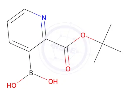 Chemical structure of (2-(Tert-butoxycarbonyl)pyridin-3-yl)boronic acid