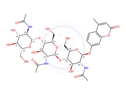 Chemical structure of 4-Methylumbelliferyl N-N-N-triacetyl-β-D-chitotrioside