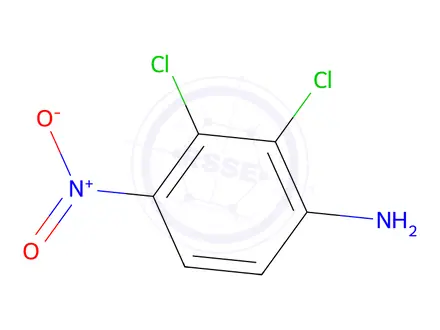Chemical structure of DICHLORO-4-NITROANILINE