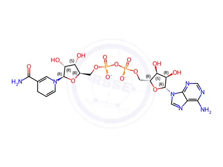 Chemical structure of beta-Nicotinamide adenine dinucleotide, reduced dipotassium salt