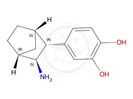 Chemical structure of 4-(3-Aminobicyclo[2.2.1]heptan-2-yl)benzene-1,2-diol