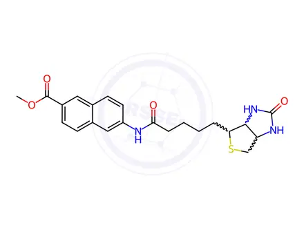 Chemical structure of Methyl N-Biotinyl-6-amino-2-naphthonate