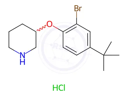 Chemical structure of 3-[2-Bromo-4-(tert-butyl)phenoxy]piperidine hydrochloride