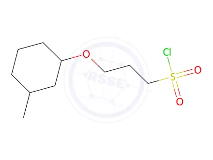 Chemical structure of 3-((3-Methylcyclohexyl)oxy)propane-1-sulfonyl chloride