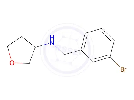 Chemical structure of n-[(3-bromophenyl)methyl]oxolan-3-amine