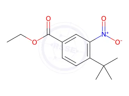 Chemical structure of Ethyl 4-tert-butyl-3-nitrobenzoate