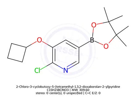 Chemical structure of 2-Chloro-3-cyclobutoxy-5-(tetramethyl-1,3,2-dioxaborolan-2-yl)pyridine