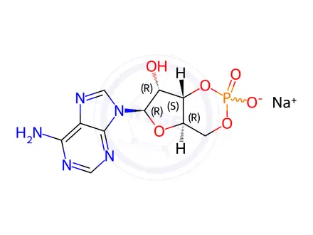 Chemical structure of Succinyl Cyclic Adenosine Impurity 2