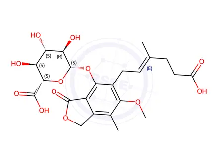 Chemical structure of Mycophenolic Acid β-D-Glucuronide