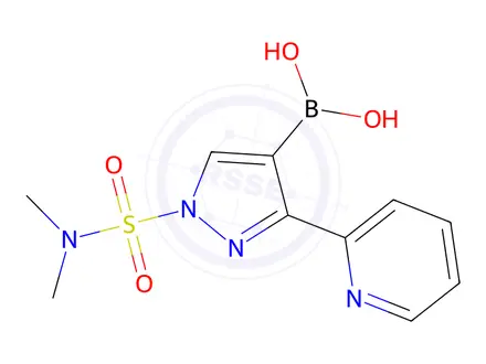 Chemical structure of (1-(N,N-Dimethylsulfamoyl)-3-(pyridin-2-yl)-1H-pyrazol-4-yl)boronic acid