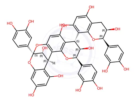 Chemical structure of Cinnamtannin B-1