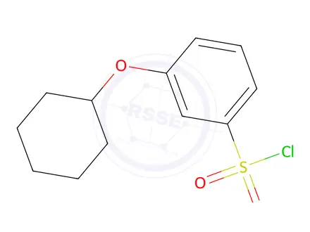 Chemical structure of 3-(Cyclohexyloxy)benzenesulfonyl chloride
