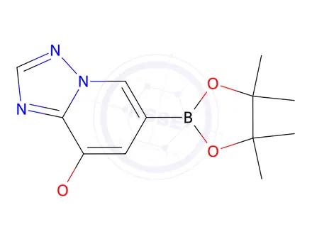Chemical structure of 8-Methoxy-6-(4,4,5,5-tetramethyl-1,3,2-dioxaborolan-2-yl)-[1,2,4]triazolo[1,5-a]pyridine