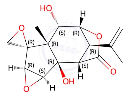 Chemical structure of Tutin solution