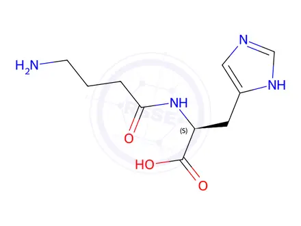 Chemical structure of Homocarnosine