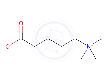 Chemical structure of delta-Valerobetaine