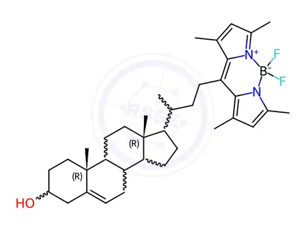 Chemical structure of TopFluor? Cholesterol