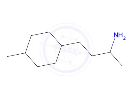 Chemical structure of 4-(4-Methylcyclohexyl)butan-2-amine