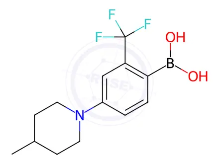 Chemical structure of (4-(4-Methylpiperidin-1-yl)-2-(trifluoromethyl)phenyl)boronic acid
