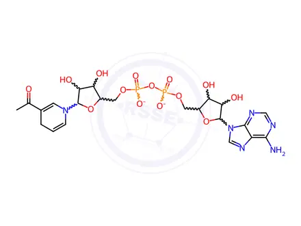 Chemical structure of 3-Acetylpyridine adenine dinucleotide (disodium)
