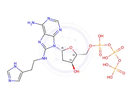 Chemical structure of 2'-Deoxy-8-[[2-(1H-imidazol-4-yl)ethyl]amino]adenosine 5'-(Tetrahydrogen Triphosphate)