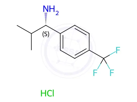 Chemical structure of (1S)-2-METHYL-1-[4-(TRIFLUOROMETHYL)PHENYL]PROPYLAMINE HYDROCHLORIDE