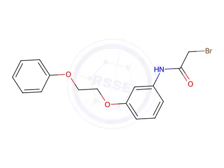 Chemical structure of 2-Bromo-N-[3-(2-phenoxyethoxy)phenyl]acetamide