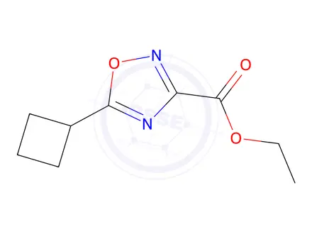 Chemical structure of Ethyl 5-cyclobutyl-1,2,4-oxadiazole-3-carboxylate