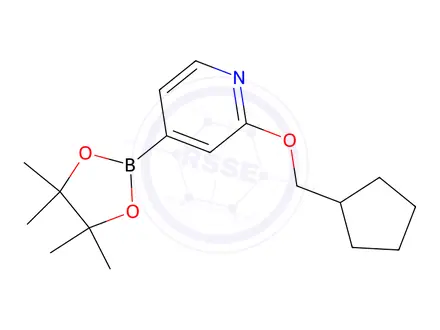 Chemical structure of 2-(Cyclopentylmethoxy)-4-(4,4,5,5-tetramethyl-1,3,2-dioxaborolan-2-yl)pyridine